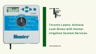 Achieve Lush Green with Hunter Irrigation System Services with Tedot's Finest