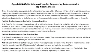 OpenTeQ NetSuite Solutions Provider: Empowering Businesses