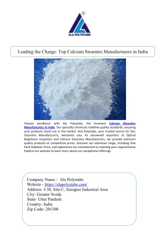 Leading the Charge Top Calcium Stearates Manufacturers in India