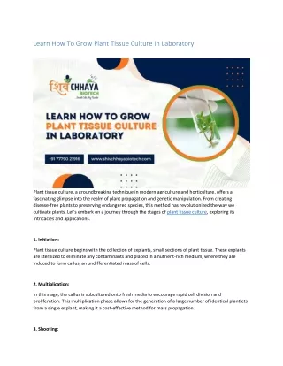 Learn How To Grow Plant Tissue Culture In Laboratory