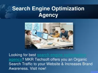 Search Engine Optimization Agency