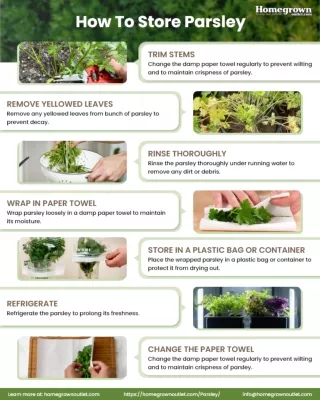 How To Store Parsley