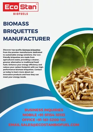 Biomass Briquettes Manufacturer (1)