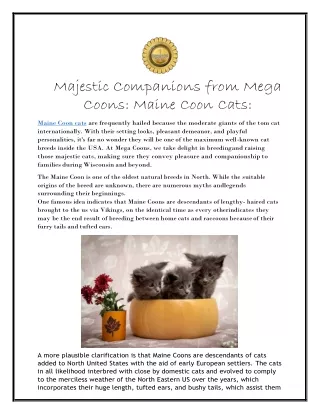 Majestic Companions from Mega Coons: Maine Coon Cats: