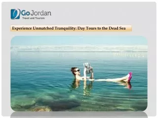 Experience Unmatched Tranquility Day Tours to the Dead Sea