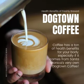 Health Benefits of Freshly Brewed Dogtown Coffee