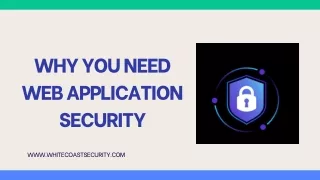 Why You Need Web Application Security