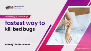 What is the fastest way to kill bed bugs
