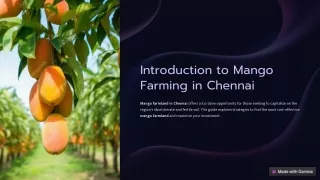 Best and Lowest Cost Mango Farmland Chennai - M/S Holidays Farm