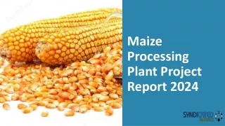 Maize Processing Plant Project Report 2024