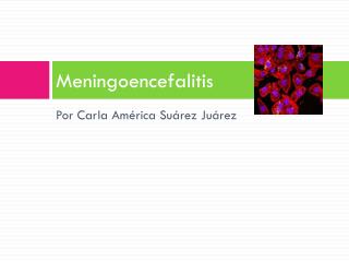 PPT - Neisseria N. gonorrhoeae (gonococcus): gonorrhea N 