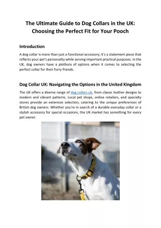 The Ultimate Guide to Dog Collars in the UK Choosing the Perfect Fit for Your Pooch