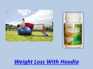 Weight Loss With Hoodia