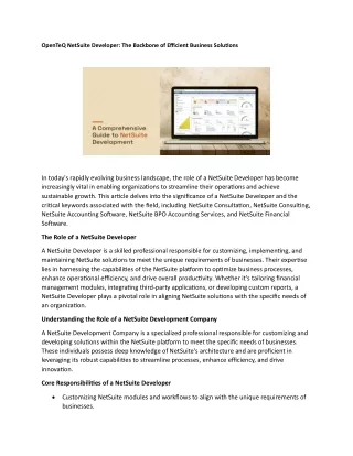 OpenTeQ NetSuite Developer The Backbone of Efficient Business Solutions