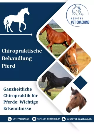 Chiropraktische Behandlung Pferd: Sorgen Sie für die optimale Gesundheit Ihres Pferdes!