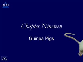 Chapter Nineteen