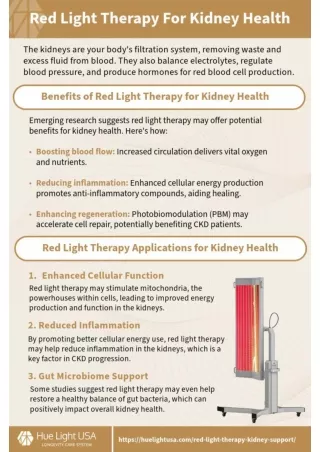 How Red Light Therapy Supports the Kidneys (Research Review)