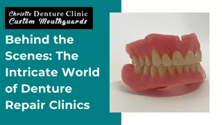 Behind the Scenes The Intricate World of Denture Repair Clinics PPT (May)