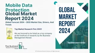 240516_Mobile Data Protection Global Market Report 2024