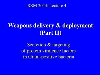 SBM 2044: Lecture 4
