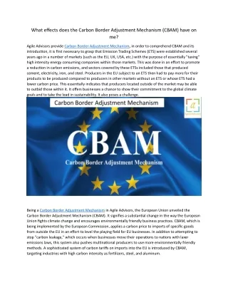 What effects does the Carbon Border Adjustment Mechanism 23.5.24