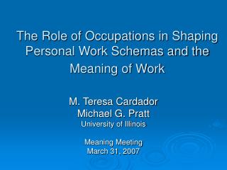 The Role of Occupations in Shaping Personal Work Schemas and the Meaning of Work