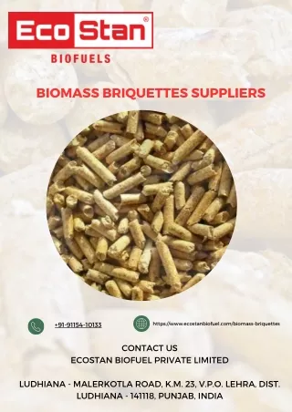 Top Biomass Briquettes Suppliers for Sustainable Energy Solutions