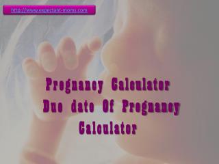 expectant moms: pregnancy calculator