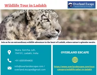 Wildlife Tour in Ladakh