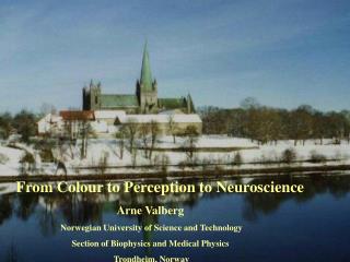 From Colour to Perception to Neuroscience Arne Valberg 	 Norwegian University of Science and Technology 	Section of Biop