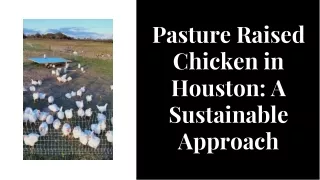 High Quality Pasture Raised Chicken in Houston