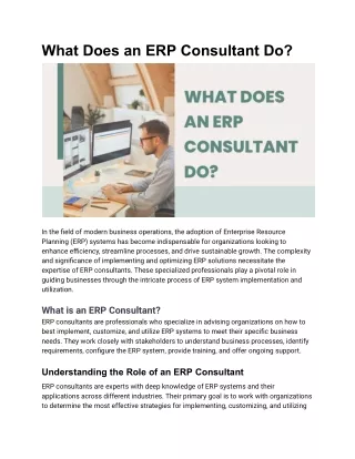 What Does an ERP Consultant Do