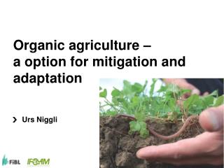 Organic agriculture – a option for mitigation and adaptation