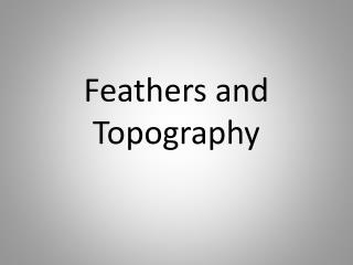 Feathers and Topography