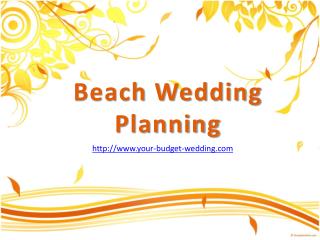beach wedding planning