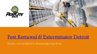 The Best Low-Cost Method for Eliminating Bed Bugs And Pests