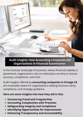 Audit Insights_ How Accounting Companies Aid Organizations In Financial Examination