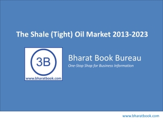 The Shale (Tight) Oil Market 2013-2023