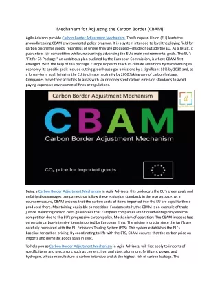 Mechanism for Adjusting the Carbon Border  25.5.24