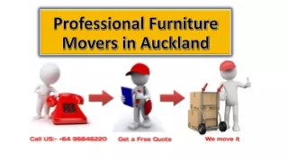 Professional Furniture Movers in Auckland