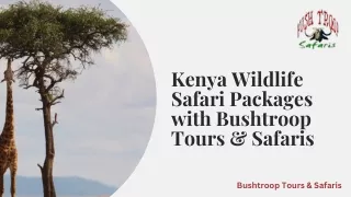 Kenya Wildlife Safari Packages with Bushtroop Tours & Safaris