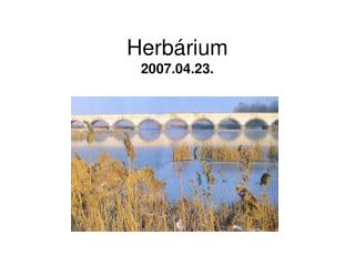 Herbárium 2007.04.23.