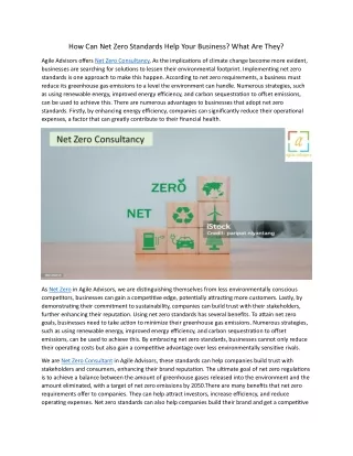 How Can Net Zero Standards Help Your Business 27.5.24