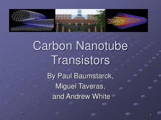 Carbon Nanotube Transistors