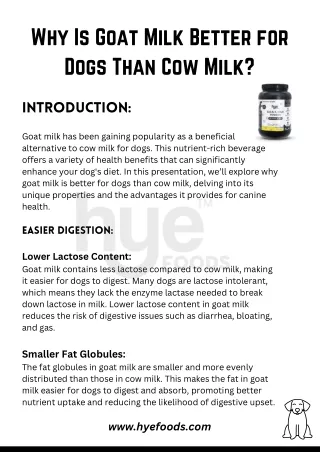 Why Is Goat Milk Better for Dogs Than Cow Milk?