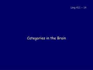 Categories in the Brain