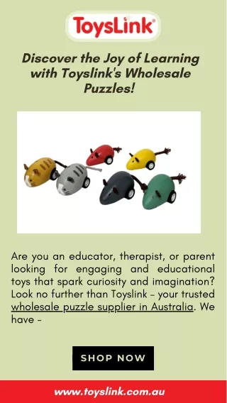 Discover the Joy of Learning with Toyslink's Wholesale Puzzles!