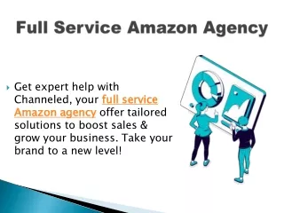 Full Service Amazon Agency