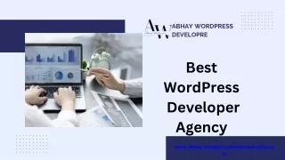 Abhay WordPress Developer