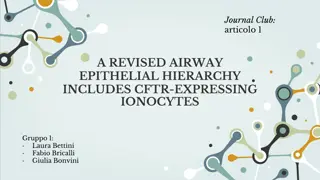 Revised Airway Epithelial Hierarchy Revealed by CFTR-Expressing Ionocytes